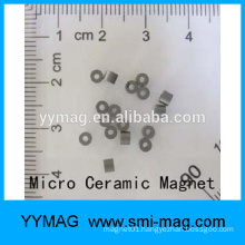 High precision micro ceramic magnet